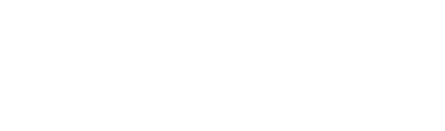 Website title